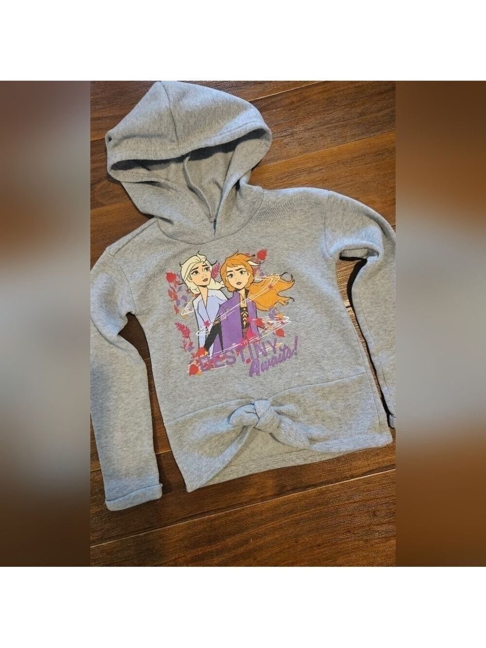 DISNEY FROZEN 11 DESTINY AWAITS ELSA & ANNA GRAY HOODIE SIZE 6X